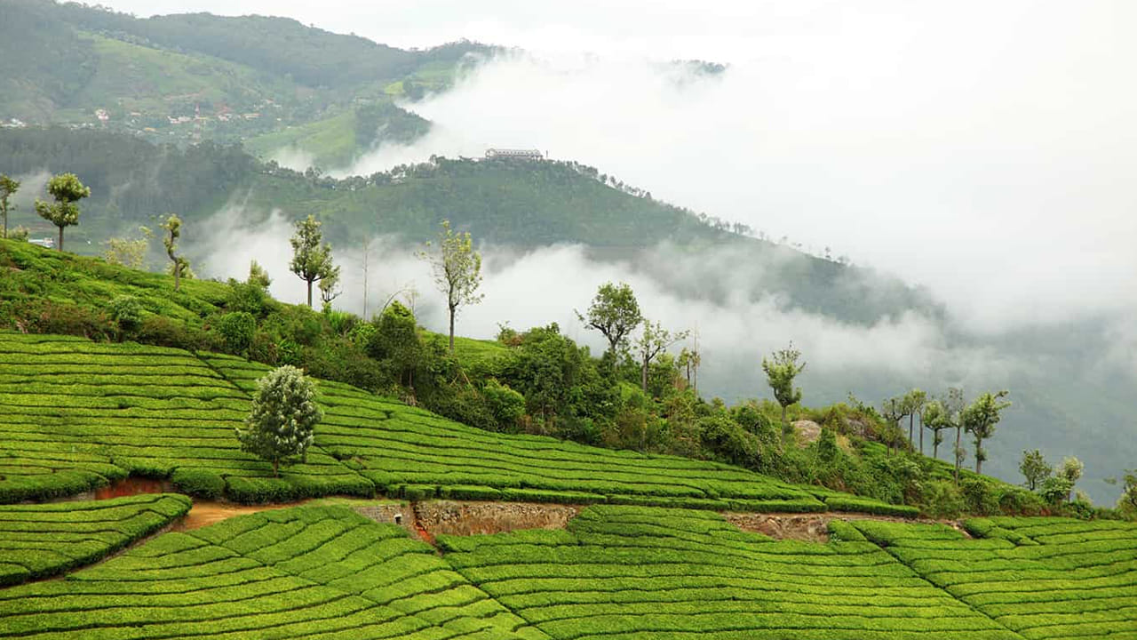 'అల్టిమేట్ ఊటీ ఎక్స్-హైదరాబాద్' పేరుతో ఓ కొత్త టూర్ ప్యాకేజీ తీసుకొని వచ్చింది ఐఆర్సిటీసీ. ఇందులో ఊటీ, కూనూర్ కవర్ చేయవచ్చు, ఇది ప్రతి మంగళవారం అందుబాటులో ఉంటుంది. మొత్తం 5 రాత్రులు, 6 రోజు కొనసాగుతుంది. దీనిలో స్లీపర్, థర్డ్ ఏసీ టికెట్స్ బుక్ చేసుకోవచ్చు.