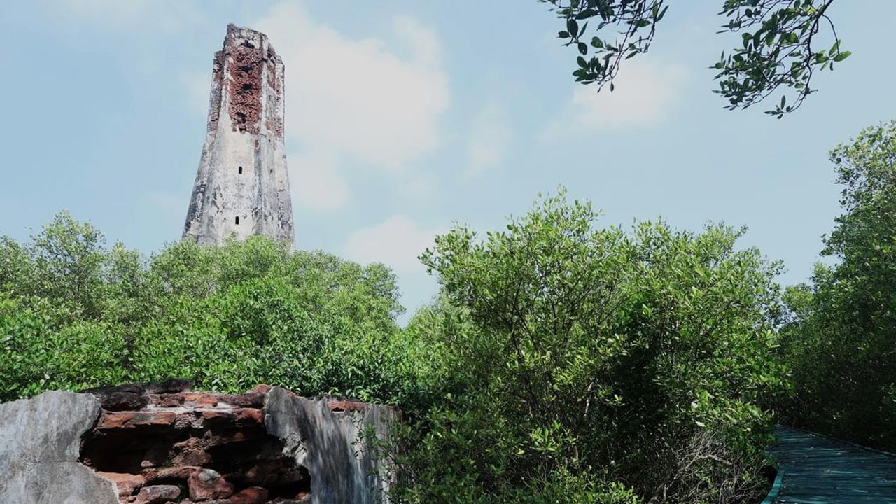 కొరింగాలోని ప్రధాన ఆకర్షణలలో ఒకటి, 200 ఏళ్ల పాత నిర్మానుష్య దీపస్తంభం. సముద్ర తీరానికి దగ్గరగా ఉన్న ఈ దీపస్తంభం, చుట్టుముట్టబడిన మడ అడవుల మధ్య అద్భుతంగా కనిపిస్తుంది. 20 అడుగుల నుండి 200 అడుగుల వరకు వెడల్పు ఉన్న నదుల ద్వారా బోటులో ప్రయాణించి దీపస్తంభాన్ని చేరుకోవచ్చు. ఈ ప్రయాణం 2 గంటల 30 నిమిషాల సమయం పడుతుంది.