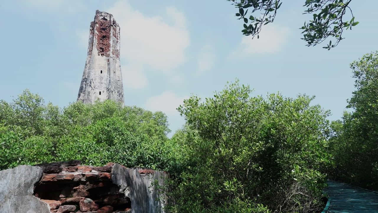 కొరింగాలోని ప్రధాన ఆకర్షణలలో ఒకటి, 200 ఏళ్ల పాత నిర్మానుష్య దీపస్తంభం. సముద్ర తీరానికి దగ్గరగా ఉన్న ఈ దీపస్తంభం, చుట్టుముట్టబడిన మడ అడవుల మధ్య అద్భుతంగా కనిపిస్తుంది. 20 అడుగుల నుండి 200 అడుగుల వరకు వెడల్పు ఉన్న నదుల ద్వారా బోటులో ప్రయాణించి దీపస్తంభాన్ని చేరుకోవచ్చు. ఈ ప్రయాణం 2 గంటల 30 నిమిషాల సమయం పడుతుంది.