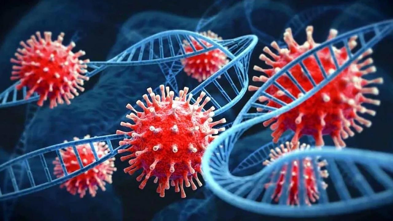 Coronavirus: దేశంలో 7 వేలు దాటిన కరోనా కేసులు.. ఒక్క రోజులో ఎన్ని నమోదయ్యాయంటే