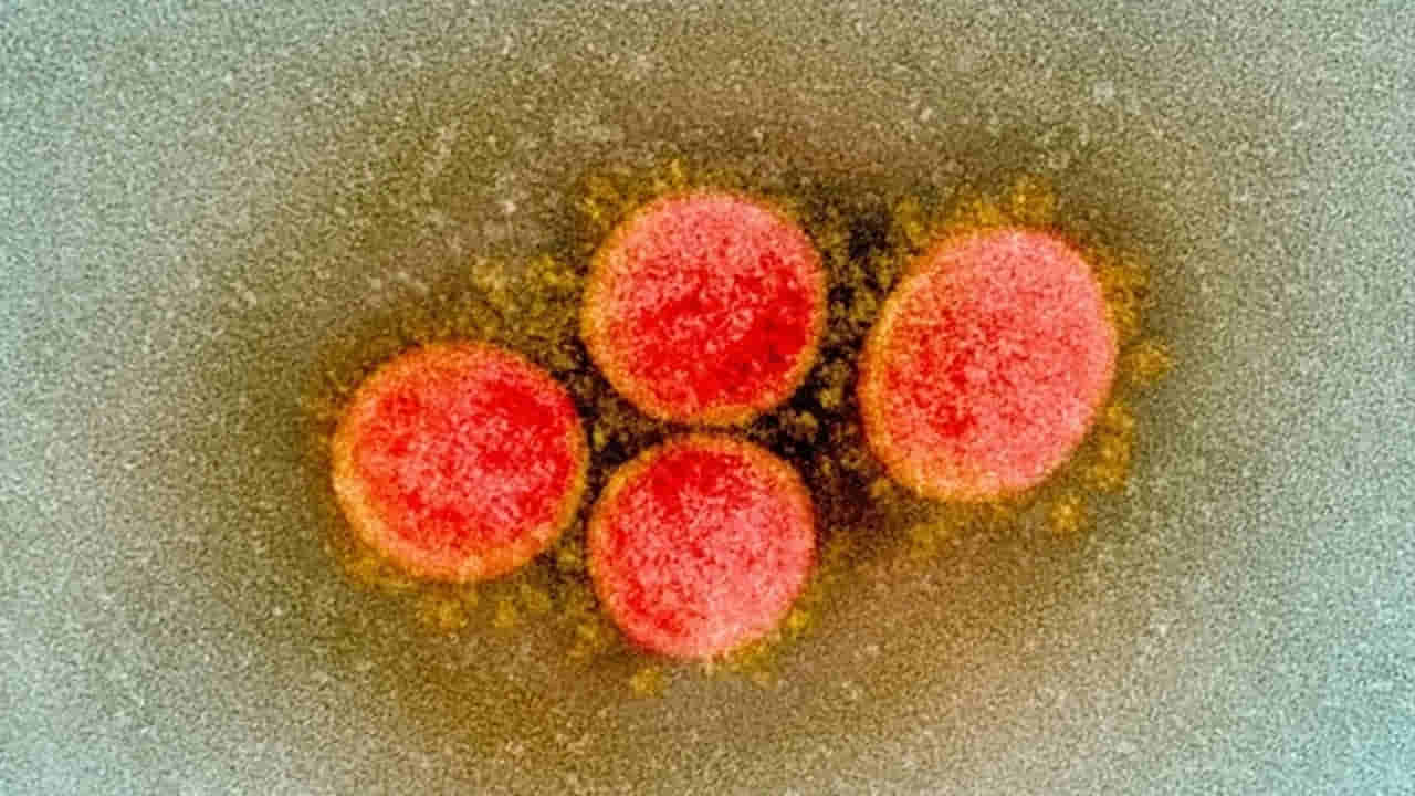 Coronavirus: వర్షకాలంలో కరోనా తుఫాన్‌.! అలర్ట్‌గా ఉండండి