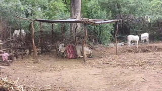 Andhra: ఆయేషా మీరా హత్య కేసులో ముగిసిన సీబీఐ దర్యాప్తు