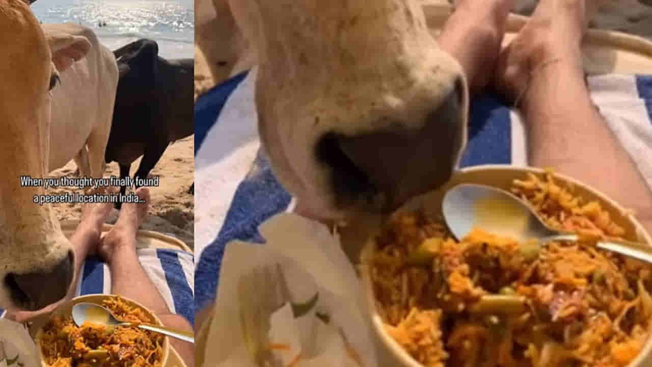 Viral Video: అందాలను చూస్తూ ఆదమరిస్తే అట్లుంటది యవ్వారం... కొద్దిగయితే బిర్యానిని నాకి పడేస్తుండెగా..!