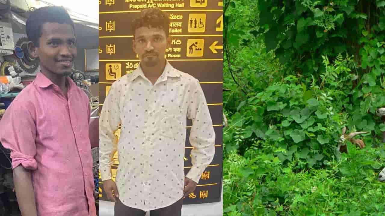 అయ్యో దేవుడా.. మరో నాలుగు రోజుల్లో బక్రీద్.. గొర్రెల మేత కోసం వెళ్లిన అన్నదమ్ములు.. ఇంతలోనే