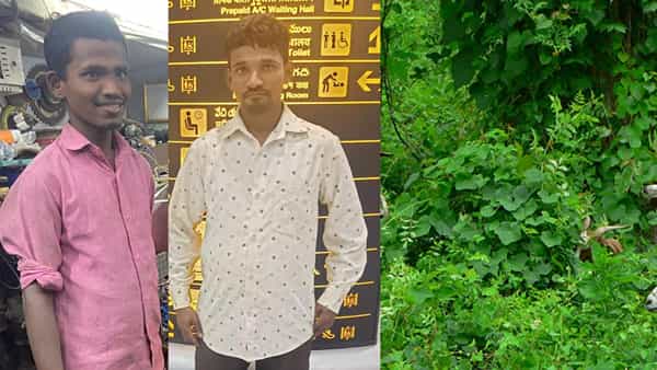 అయ్యో దేవుడా.. మరో నాలుగు రోజుల్లో బక్రీద్.. గొర్రెల మేత కోసం వెళ్లిన అన్నదమ్ములు.. ఇంతలోనే