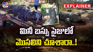 వీడు మామూలోడు కాదు.. ఎదురుపడిన కోబ్రాను ఏం చేసాడంటే