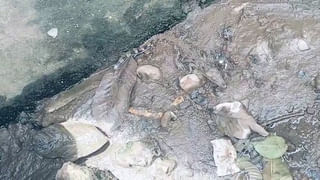 Metro Rail : వీడెవడండీ బాబు.. పెళ్లాం మీద కోపంతో మెట్రో రైలులో పెట్రోల్ పోసి నిప్పంటించాడు.. వీడియో వైరల్