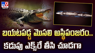 ఘోర విపత్తు.. హిమానీనదం కూలి మొత్తం గ్రామమే కనుమరుగు వీడియో