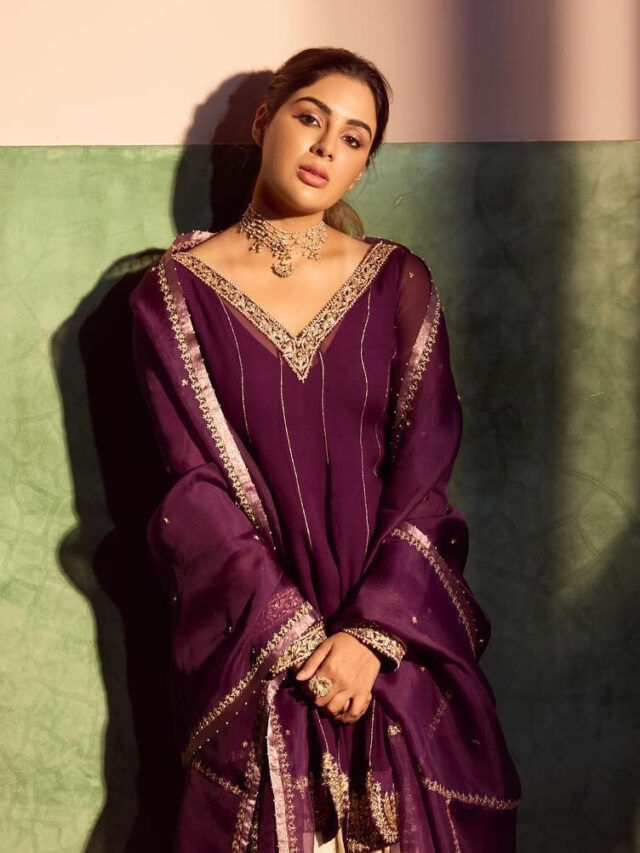 సంయుక్త స్పీడ్‌కు బ్రేకులు.. ఆచితూచి అడుగులేస్తున్న అందాల భామ