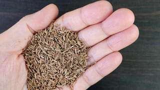 5వ తేదీన జన్మించిన వారి స్వభావం ఎలా ఉంటుందో తెలుసా?