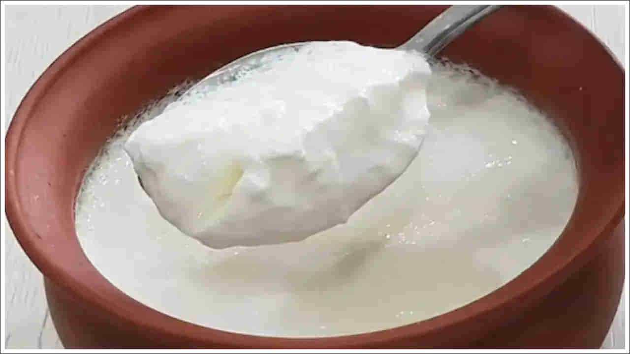 Curd: పెరుగులో ఉప్పు లేదా చక్కెర.. ఏది కలిపి తింటే మంచిది.. చాలా మందికి తెలియని విషయం ఏంటంటే..