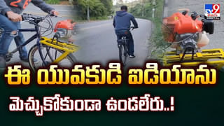 పాములను పట్టి అడవిలో వదులుదామని వెళ్లిన స్నేక్‌ క్యాచర్‌కు ఊహించని షాక్‌