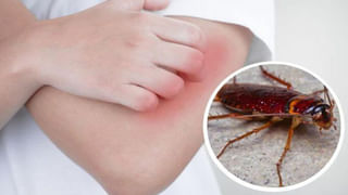 స్పీడ్ గా బరువు తగ్గి సన్నగా స్లిమ్ అవ్వాలనుకుంటున్నారా..? రోజూ నిమ్మరసం ఇలా కలిపి తీసుకుంటే వారాల్లోనే కేజీల బరువు తగ్గుతారు..!