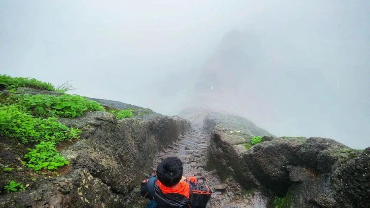 Monsoon Travel: వానాకాలంలో టూర్ ప్లాన్ చేస్తున్నారా? ఈ ప్రాంతాలకు వెళ్తే ప్రాణాలు గల్లంతే! Monsoon Travel: వానాకాలంలో టూర్ ప్లాన్ చేస్తున్నారా? ఈ ప్రాంతాలకు వెళ్తే ప్రాణాలు గల్లంతే!