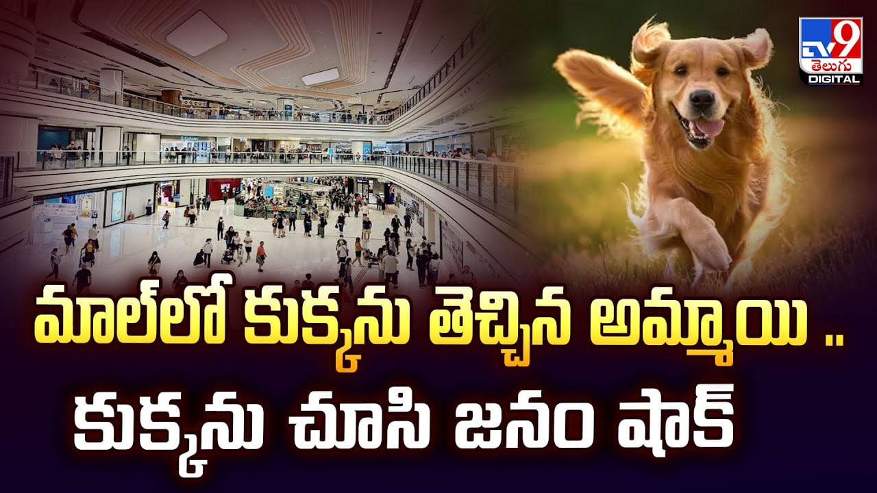 మాల్‌లో కుక్కను తెచ్చిన అమ్మాయి.. కుక్కను చూసి జనం షాక్‌