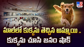మాల్లో కుక్కను తెచ్చిన అమ్మాయి.. కుక్కను చూసి జనం షాక్ మాల్లో కుక్కను తెచ్చిన అమ్మాయి.. కుక్కను చూసి జనం షాక్