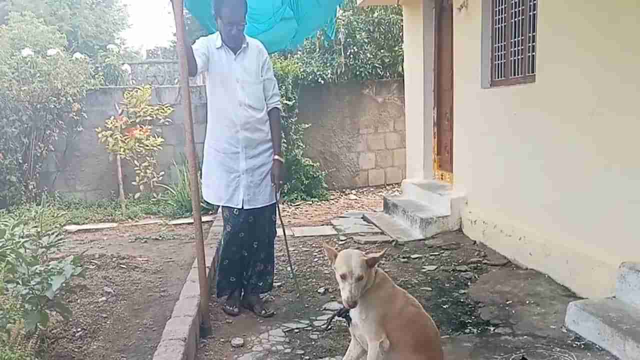 విశ్వాసం అంటే ఇదే.. వద్దనుకుని 70 కి.మీ. దూరంలో వదిలేసినా.. 5రోజులకు ఇంటికి వచ్చిన శునకం!