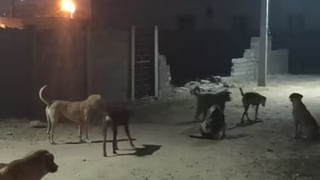 బీజేపీకి తలనొప్పిగా మారిన రాజాసింగ్‌..! మరోసారి పార్టీ నుంచి సస్పెండ్‌ అవుతారా?