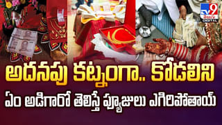 బిచ్చగాడినంటూ ఇంటికి వచ్చాడు.. ఆమె ఒంటరిగా కనిపించేసరికి..