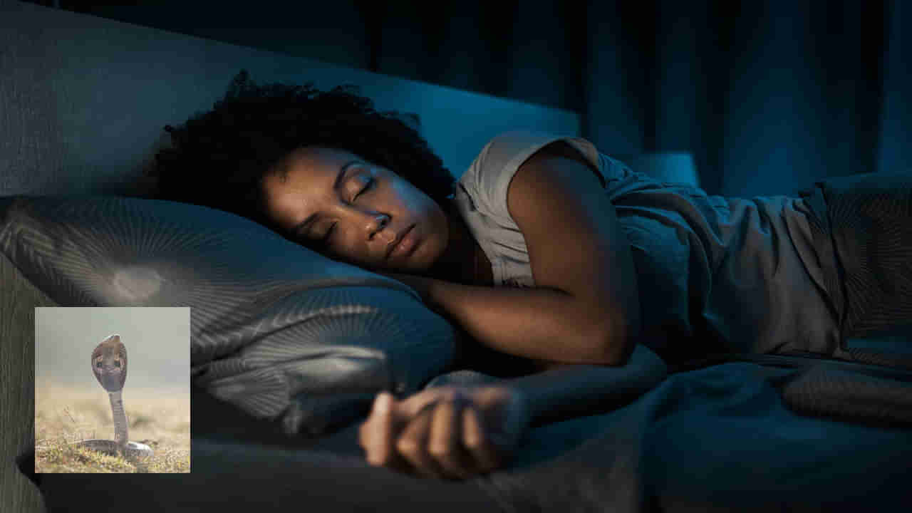 Dreams About Snakes : తరచూ కలలో పాములు కనిపిస్తున్నాయా..? ఏం జరుగుతుందో తెలిస్తే..