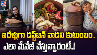 మీరు శాఖాహారులా.. ఈ కూరగాయలను తినే ఆహారంలో చేర్చుకోండి.. బలహీనమైన ఎముకలకు జీవం