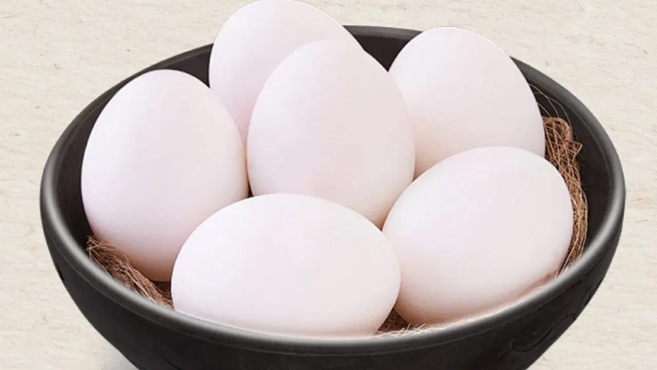 గుడ్డు శాఖాహారమా లేక మాంసాహారమా అనే సందేహం మాత్రం ప్రతి ఒక్కరిలో ఉంది. ఐతే సైన్స్‌లో శాకాహార ఆహారానికి నిర్ధిష్ట నిర్వచనం ఉంది. జంతు మాంసం లేని ఆహారాన్ని శాఖాహారం అని అంటారు. ఈ కోణంలో చూస్తే గుడ్డు శాఖాహారంగానే పరిగణించాలి. ఇలాంటి ఆహారం తీసుకునే వ్యక్తులను ఓవో-వెజిటేరియన్స్‌ అంటారు.