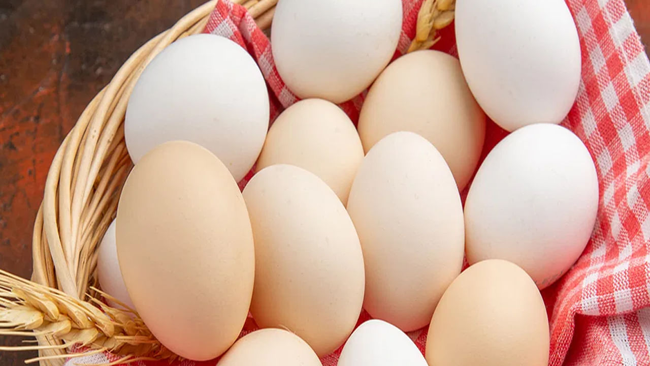 కోడి పెట్ట, కోడి పుంజుల పునరుత్పత్తి చర్య వల్ల పెట్టిన కోడి గుడ్డును ఫలదీకరణ గుడ్డు అంటారు. కోడి పుంజు సహకారంలేకుండా పెట్టిన గుడ్డును ఫలదీకరణం చేయని గుడ్డు అంటారు. గుడ్డులోపల కోడి పిల్ల అభివృద్ధి చెందని గుడ్లను కోళ్ల ఫారంలలో సేద్యం చేస్తారు. ఇటువంటి గుడ్డను శాఖాహారంగా పరిగణించవచ్చని శాస్త్రవేత్తలు అంటున్నారు.