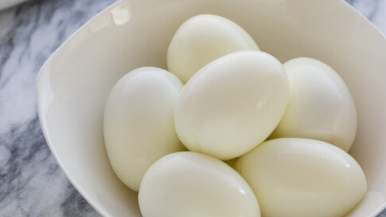 Eggs4