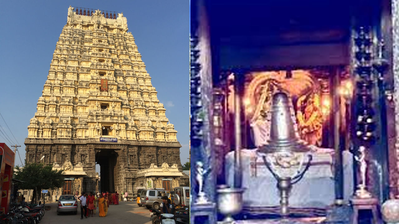  ఏకాంబరేశ్వర ఆలయం, కాంచీపురం: భూమిని ప్రతిబింబించే 'పృథ్వి లింగం' ఉన్న ఏకాంబరేశ్వర ఆలయం కాంచీపురంలోని అతిపెద్ద ఆలయ సముదాయాలలో ఒకటి. శివుడికి అంకితం చేయబడిన ఈ ఆలయం అద్భుతమైన ద్రావిడ నిర్మాణ శైలిని కలిగి ఉంది. విస్తారమైన ఆలయ చెరువు, పచ్చదనంతో చుట్టుముట్టబడి ఉంది. స్థిరత్వం, సంతానోత్పత్తి, శ్రేయస్సు కోసం ఆశీస్సులు పొందడానికి భక్తులు ఇక్కడకు వస్తారు. ఇక్కడ కామాక్షి అమ్మన్ ఆలయం, వరదరాజ పెరుమాళ్ ఆలయం, కైలాసనాథర్ ఆలయం దర్శించవచ్చు.