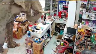 Viral Video: దొంగోడికి ఏమీ దొరక్క ఏం చేశాడో మీరే చూడండి!… సీసీ టీవీ పుటేజీ చూసి స్థానికులు షాక్‌