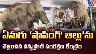 టాయిలెట్‌లో వింత జంతువును చూసి షాక్‌ వీడియో