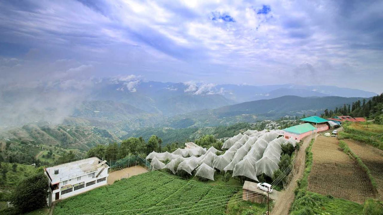 ఫాగు: సిమ్లా నుంచి 20 కిలోమీటర్ల దూరంలో ఉన్న ఫాగు సందర్శకులకు ప్రత్యేకమైన ప్రశాంతతకు నెలవు. దట్టమైన పైన్ చెట్లు, రోలింగ్ ల్యాండ్‌స్కేప్‌ల మధ్య సుందర గ్రామం. ఈ పట్టణానికి వచ్చే సందర్శకులు స్థానిక సంస్కృతిని ఆస్వాదించవచ్చు. ఈ ప్రాంతమంతా ఉన్న అనేక సౌకర్యవంతమైన హోమ్‌స్టేలలో విలక్షణమైన వంటకాలను రుచి చూడవచ్చు. సాహస ప్రియులు సమీపంలోని ట్రైల్స్‌లో ట్రెక్ చేయవచ్చు. ప్రకృతి ప్రియులకు బెస్ట్ ఆప్షన్. 