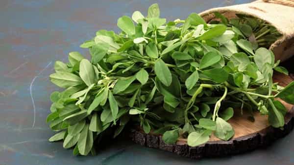 Green leafy vegetables: ఈ ఆకులు చిన్నగా ఉన్నా.. చేసే మేలు ఎంతో తెలుసా..? ఒకసారి మీరు తిని చూడండి..!