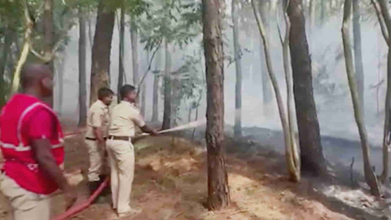 Tirumala: తిరుమల అడవుల్లో అగ్ని ప్రమాదం.. శ్రీవారి పాదాలు, శిలాతోరణం దగ్గర చెలరేగిన మంటలు..