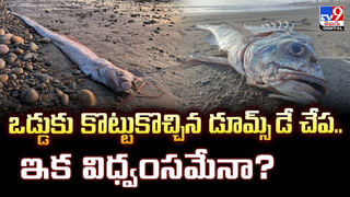 ఐడియా అదిరింది.. నెలకు రూ.8 లక్షలు సంపాదిస్తున్న ఆటో డ్రైవర్‌ వీడియో