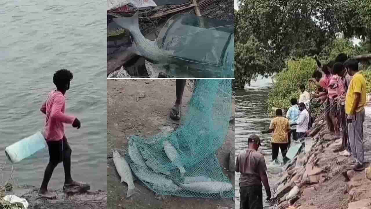 Andhra: టెక్నలాజియా..! వాటర్ టిన్లతో గోదావరిలో చేపల వేట.. చూస్తే అదుర్స్ అంటారంతే..