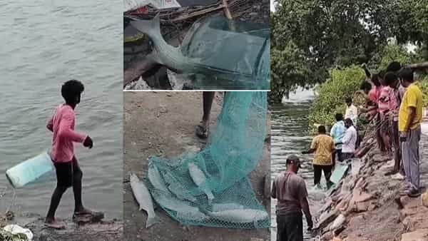 Andhra: టెక్నలాజియా..! వాటర్ టిన్లతో గోదావరిలో చేపల వేట.. చూస్తే అదుర్స్ అంటారంతే..