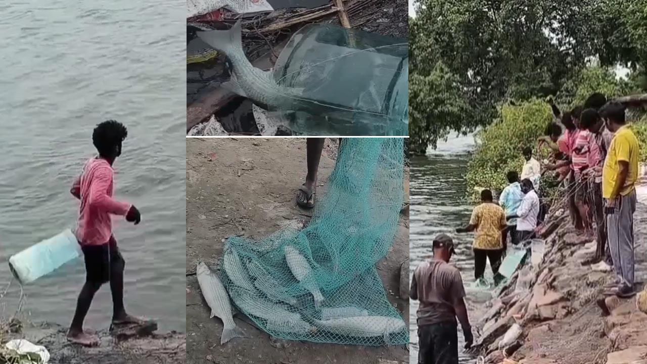 Andhra: టెక్నలాజియా..! వాటర్ టిన్‌లతో గోదావరిలో చేపల వేట.. చూస్తే అదుర్స్ అంటారంతే..