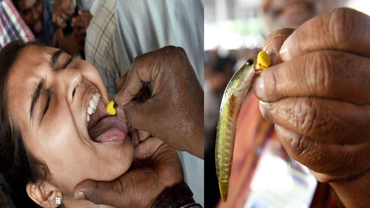 Fish Prasadam: చేప ప్రసాదం పంపిణీకి పోటెత్తిన జనం.. టైమింగ్స్ ఇవే!
