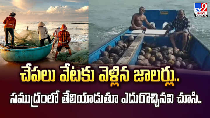 చేపలు వేటకు వెళ్లిన జాలర్లు.. సముద్రంలో తేలియాడుతూ ఎదురొచ్చినవి చూసి చేపలు వేటకు వెళ్లిన జాలర్లు.. సముద్రంలో తేలియాడుతూ ఎదురొచ్చినవి చూసి