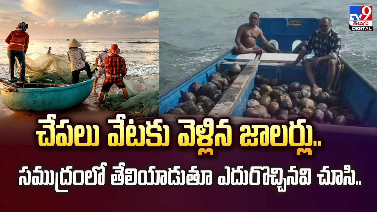 చేపలు వేటకు వెళ్లిన జాలర్లు.. సముద్రంలో తేలియాడుతూ ఎదురొచ్చినవి చూసి