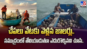 చేపలు వేటకు వెళ్లిన జాలర్లు.. సముద్రంలో తెలియాడుతున్నది చూసి చేపలు వేటకు వెళ్లిన జాలర్లు.. సముద్రంలో తెలియాడుతున్నది చూసి