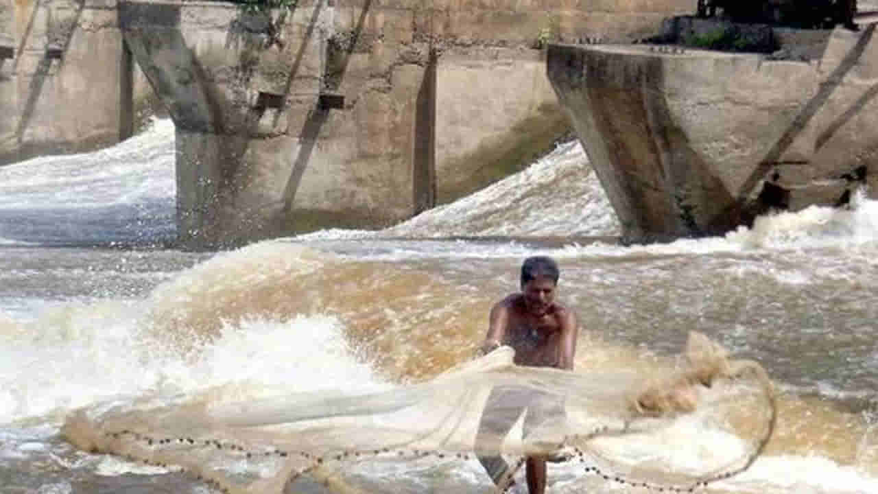 Telangana: మృగశిర కార్తె.. మంచి చేపలు పడతాయి అనుకుని వల వేశారు.. చిక్కినవి చూసి స్టన్