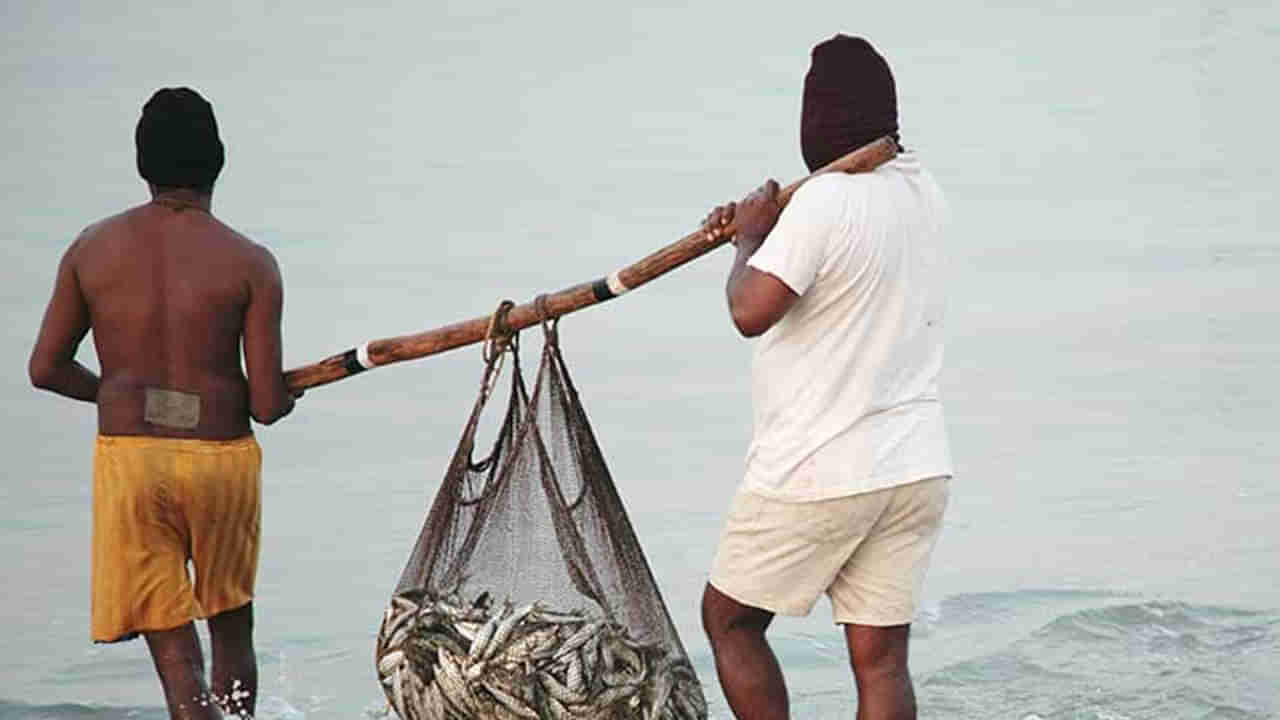 Viral: జన్మకు ఒక్కసారి అయినా ఇలాంటి లక్ ఉంటుందా - నదిలో వల వేసిన జాలరి - ఏం పడ్డాయో తెల్సా..?