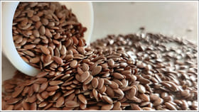 మీ బాన పొట్ట కరగాలంటే అవిసె గింజలు ఇలా తినండి..కొవ్వుకరగాల్సిందే