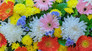 ఓపిక పట్టండి.. మరో రెండు రోజుల్లో అదృష్టం కలిసొచ్చే రాశులివే!