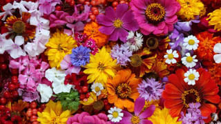 Tonk Tourism: రాజస్థాన్‌లోని టోంక్ తెలుసా.? ఫ్యామిలీ టూర్‎కి బెస్ట్ ఆప్షన్..