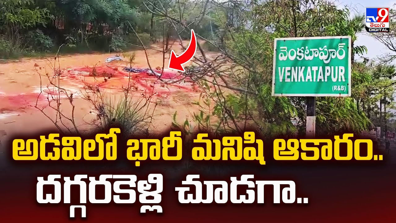 అడవిలో భారీ మనిషి ఆకారం.. దగ్గరకెళ్లి చూడగా అడవిలో భారీ మనిషి ఆకారం.. దగ్గరకెళ్లి చూడగా