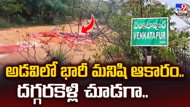 అడవిలో భారీ మనిషి ఆకారం.. దగ్గరకెళ్లి చూడగా అడవిలో భారీ మనిషి ఆకారం.. దగ్గరకెళ్లి చూడగా