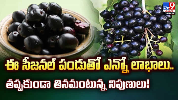 ఈ సీజనల్ పండుతో ఎన్నో లాభాలు.. తప్పకుండా తినమంటున్న నిపుణులు ఈ సీజనల్ పండుతో ఎన్నో లాభాలు.. తప్పకుండా తినమంటున్న నిపుణులు